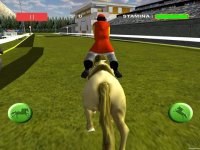 Cкриншот Horse Racing - Race Horses Derby 3D, изображение № 1706257 - RAWG