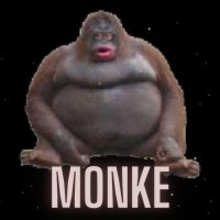 Cкриншот Stinky Monke Attack In Space, изображение № 3053641 - RAWG