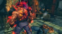 Cкриншот Super Street Fighter 4 Arcade Edition, изображение № 566436 - RAWG