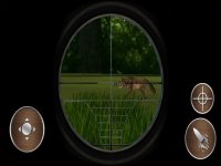 Cкриншот Animal Hunt For Survival, изображение № 1809012 - RAWG