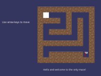 Cкриншот Only One Maze, изображение № 2116531 - RAWG