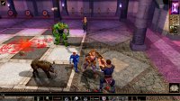 Cкриншот Neverwinter Nights: Enhanced Edition, изображение № 704348 - RAWG
