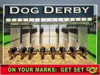 Cкриншот Race Dog Racer Simulator 2016 – Virtual Racing Championship with Real Police Dogs, изображение № 1743299 - RAWG