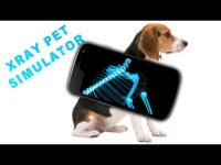 Cкриншот Simulator X-Ray Pet, изображение № 1629591 - RAWG