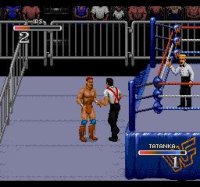 Cкриншот WWF Rage in the Cage, изображение № 740436 - RAWG