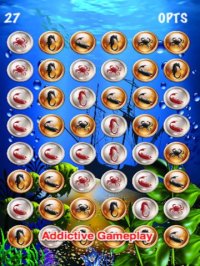 Cкриншот A Pirates' Treasure: Coin Collection Free, изображение № 1646607 - RAWG