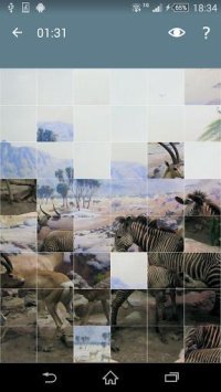 Cкриншот Jigsaw Puzzle: Animals, изображение № 1497935 - RAWG