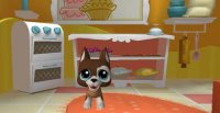 Cкриншот Littlest Pet Shop: Friends, изображение № 789471 - RAWG