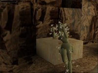 Cкриншот Tomb Raider, изображение № 320414 - RAWG