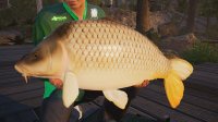 Cкриншот Fishing Sim World: Pro Tour + The Catch: Carp & Coarse, изображение № 2649360 - RAWG