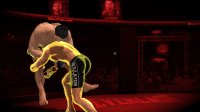 Cкриншот Bellator: MMA Onslaught, изображение № 274511 - RAWG