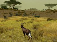 Cкриншот Cabela's African Safari, изображение № 465473 - RAWG