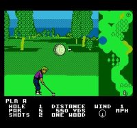 Cкриншот Greg Norman's Golf Power, изображение № 735996 - RAWG