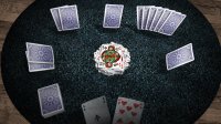 Cкриншот Crazy Eights 3D Premium, изображение № 2220497 - RAWG