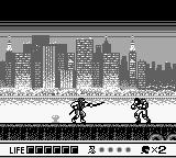 Cкриншот Ninja Gaiden Shadow, изображение № 751712 - RAWG