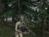 Cкриншот The Elder Scrolls 3: Bloodmoon, изображение № 361980 - RAWG