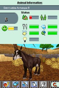 Cкриншот Zoo Tycoon 2 DS, изображение № 787076 - RAWG
