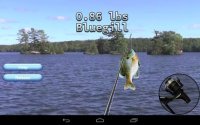 Cкриншот i Fishing 3 Lite, изображение № 1536503 - RAWG