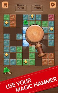 Cкриншот Block Puzzle, изображение № 1376377 - RAWG