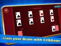 Cкриншот Cribbage Solitaire Challenge, изображение № 2341705 - RAWG