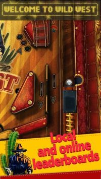 Cкриншот Wild West Pinball, изображение № 1354269 - RAWG