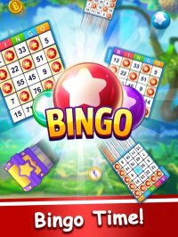 Cкриншот Bingo Frenzy2022, изображение № 3293308 - RAWG