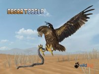 Cкриншот Desert Eagle Simulator, изображение № 1663487 - RAWG