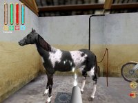Cкриншот Saddle Up: Time to Ride; Let's Ride! Sunshine Stables, изображение № 2699633 - RAWG