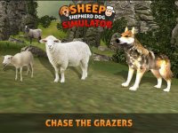 Cкриншот Sheep Dog: Trained Herding Dog Simulator, изображение № 1780217 - RAWG