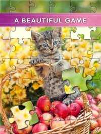 Cкриншот Puzzles & Jigsaws Pro, изображение № 1779702 - RAWG