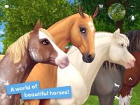 Cкриншот Star Stable Online, изображение № 3291639 - RAWG