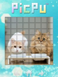 Cкриншот PicPu - Cat Picture Puzzle, изображение № 1683553 - RAWG