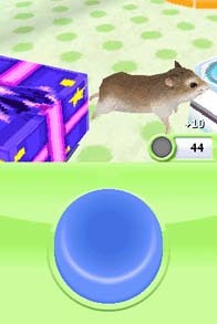 Cкриншот Petz Hamsterz Superstarz, изображение № 789903 - RAWG