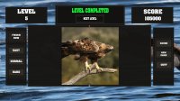 Cкриншот Fitzzle Majestic Eagles, изображение № 846537 - RAWG