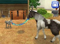 Cкриншот Petz Horseshoe Ranch, изображение № 247659 - RAWG