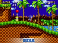 Cкриншот Sonic the Hedgehog (1991), изображение № 1659779 - RAWG
