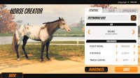 Cкриншот Rival Stars Horse Racing: Desktop Edition, изображение № 2345203 - RAWG