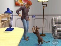 Cкриншот Sims 2: Питомцы, The, изображение № 457893 - RAWG