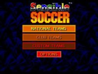 Cкриншот Sensible Soccer, изображение № 739537 - RAWG
