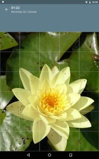 Cкриншот Jigsaw Puzzle: Flowers, изображение № 1497484 - RAWG