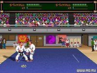 Cкриншот Budokan: The Martial Spirit, изображение № 314530 - RAWG