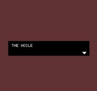 Cкриншот THE HOILE //don't play this game//, изображение № 1836550 - RAWG