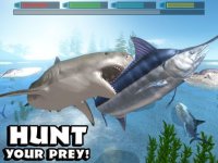 Cкриншот Ultimate Shark Simulator, изображение № 954978 - RAWG