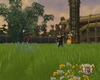 Cкриншот ARENA Online: Dragon Age, изображение № 512156 - RAWG