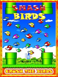 Cкриншот Smash Birds: Fun and Cool for Boys Girls and Kids, изображение № 873484 - RAWG