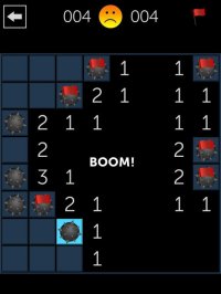 Cкриншот Minesweeper Fun, изображение № 952159 - RAWG