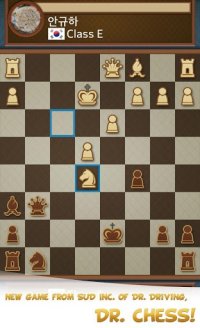 Cкриншот Dr. Chess, изображение № 1529529 - RAWG