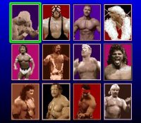 Cкриншот WCW SuperBrawl Wrestling, изображение № 763244 - RAWG