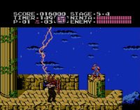 Cкриншот Ninja Gaiden (1988), изображение № 261235 - RAWG