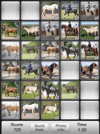 Cкриншот Horses Match Memory Game: Pair Up Horse Photos, изображение № 982039 - RAWG